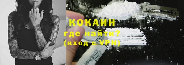 соль ск Пересвет