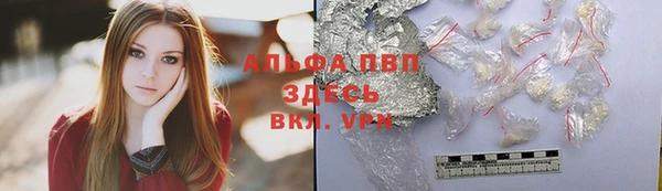 соль ск Пересвет