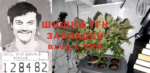 соль ск Пересвет