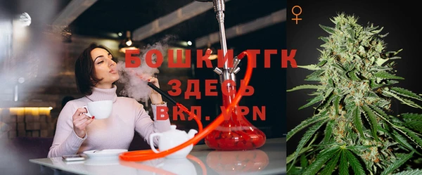 соль ск Пересвет
